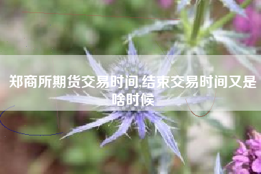 郑商所期货交易时间,结束交易时间又是啥时候