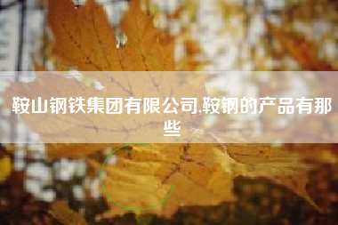 鞍山钢铁集团有限公司,鞍钢的产品有那些