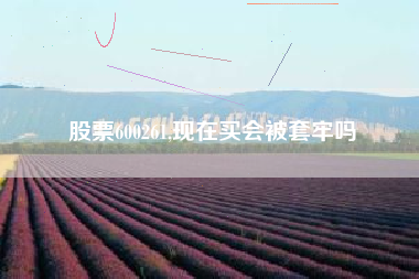 股票600261,现在买会被套牢吗