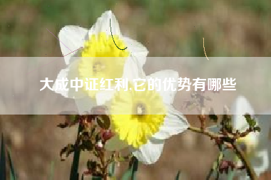 大成中证红利,它的优势有哪些