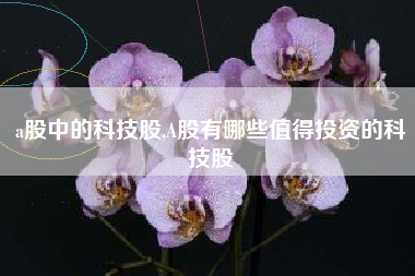 a股中的科技股,A股有哪些值得投资的科技股