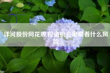 洋河股份同花顺,投资机会里藏着什么风险