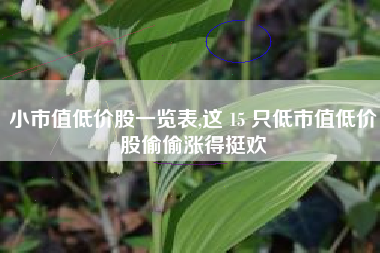 小市值低价股一览表,这 15 只低市值低价股偷偷涨得挺欢