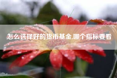 怎么选择好的货币基金,哪个指标要看