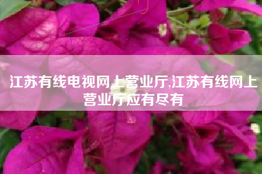 江苏有线电视网上营业厅,江苏有线网上营业厅应有尽有