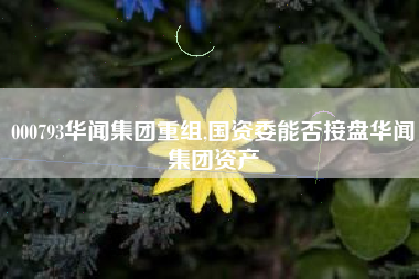 000793华闻集团重组,国资委能否接盘华闻集团资产