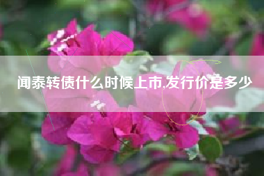 闻泰转债什么时候上市,发行价是多少