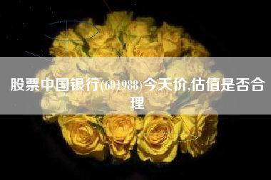 股票中国银行(601988)今天价,估值是否合理
