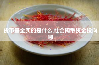 货币基金买的是什么,社会闲散资金投向哪