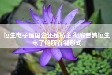 恒生电子是国企还是私企,彻底看清恒生电子的所有制形式
