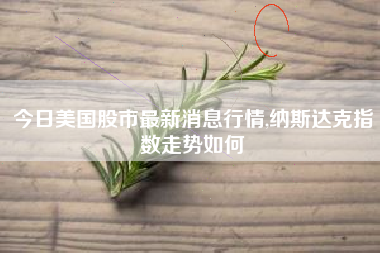 今日美国股市最新消息行情,纳斯达克指数走势如何