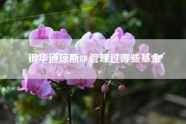 银华道琼斯88,管理过哪些基金