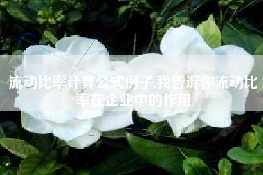 流动比率计算公式例子,我告诉你流动比率在企业中的作用