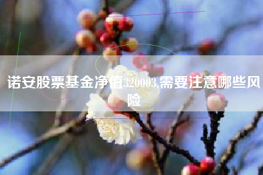 诺安股票基金净值320003,需要注意哪些风险