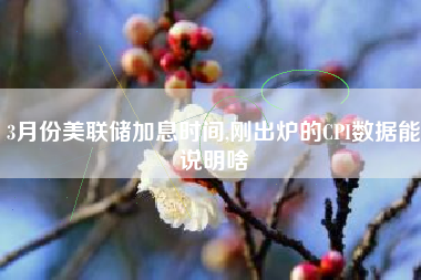 3月份美联储加息时间,刚出炉的CPI数据能说明啥