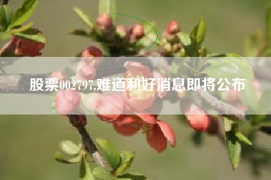 股票002797,难道利好消息即将公布