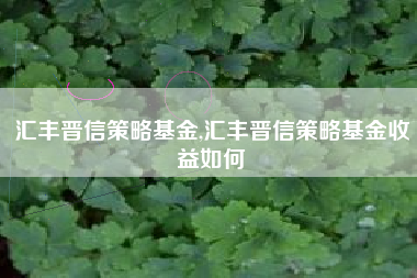 汇丰晋信策略基金,汇丰晋信策略基金收益如何