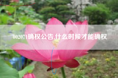 002071确权公告,什么时候才能确权