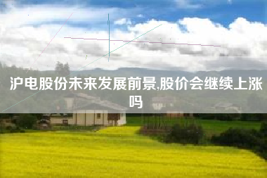 沪电股份未来发展前景,股价会继续上涨吗