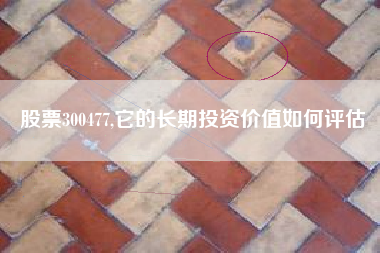 股票300477,它的长期投资价值如何评估