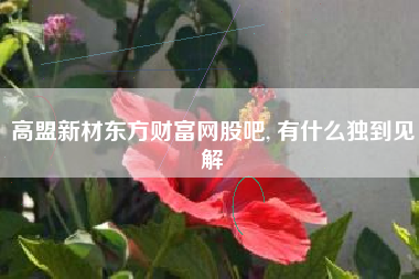 高盟新材东方财富网股吧, 有什么独到见解