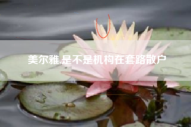 美尔雅,是不是机构在套路散户