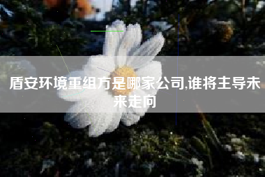 盾安环境重组方是哪家公司,谁将主导未来走向