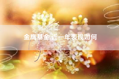 金鹰基金,近一年表现如何