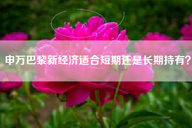 申万巴黎新经济适合短期还是长期持有？