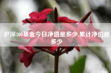 沪深300基金今日净值是多少,累计净值是多少