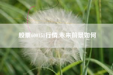 股票600151行情,未来前景如何