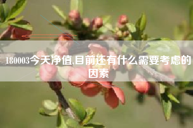 180003今天净值,目前还有什么需要考虑的因素