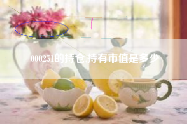 000251的持仓,持有市值是多少