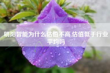 明阳智能为什么估值不高,估值低于行业平均吗