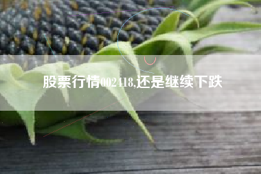 股票行情002418,还是继续下跌