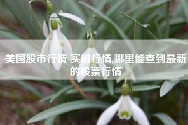 美国股市行情 实时行情,哪里能查到最新的股票行情