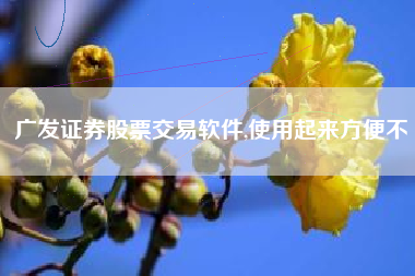 广发证券股票交易软件,使用起来方便不