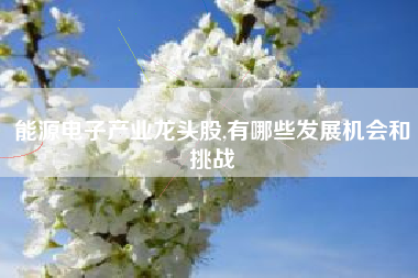 能源电子产业龙头股,有哪些发展机会和挑战