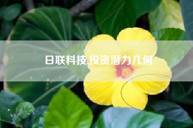 日联科技,投资潜力几何