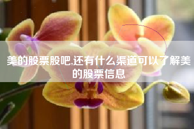 美的股票股吧,还有什么渠道可以了解美的股票信息
