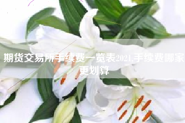 期货交易所手续费一览表2021,手续费哪家更划算