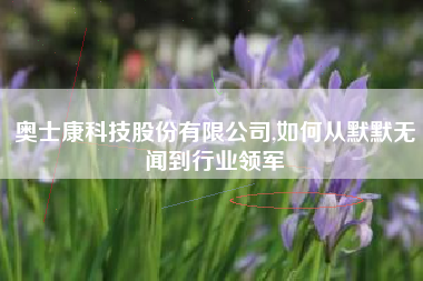 奥士康科技股份有限公司,如何从默默无闻到行业领军