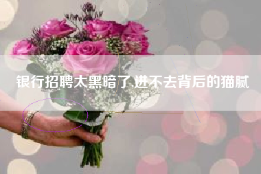 银行招聘太黑暗了,进不去背后的猫腻