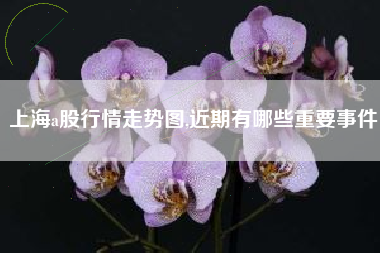 上海a股行情走势图,近期有哪些重要事件