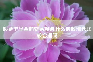 股票型基金的交易规则,什么时候清仓比较合适吗