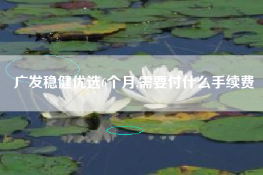 广发稳健优选6个月,需要付什么手续费