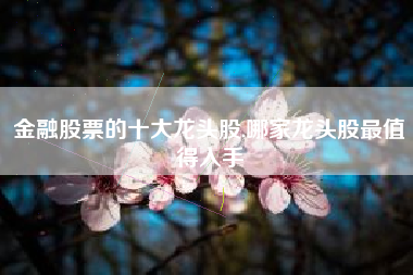 金融股票的十大龙头股,哪家龙头股最值得入手