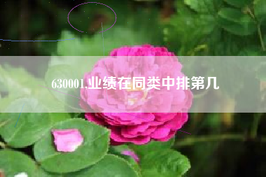 630001,业绩在同类中排第几