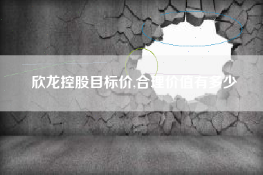 欣龙控股目标价,合理价值有多少
