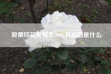 股票印花税税率2015,其原因是什么